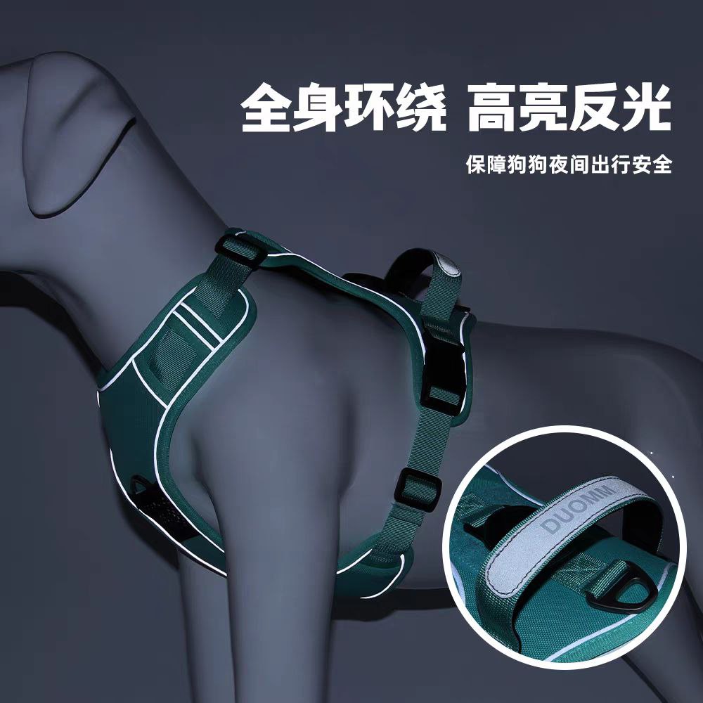 шлейка для собак с ремнями цвета зеленый